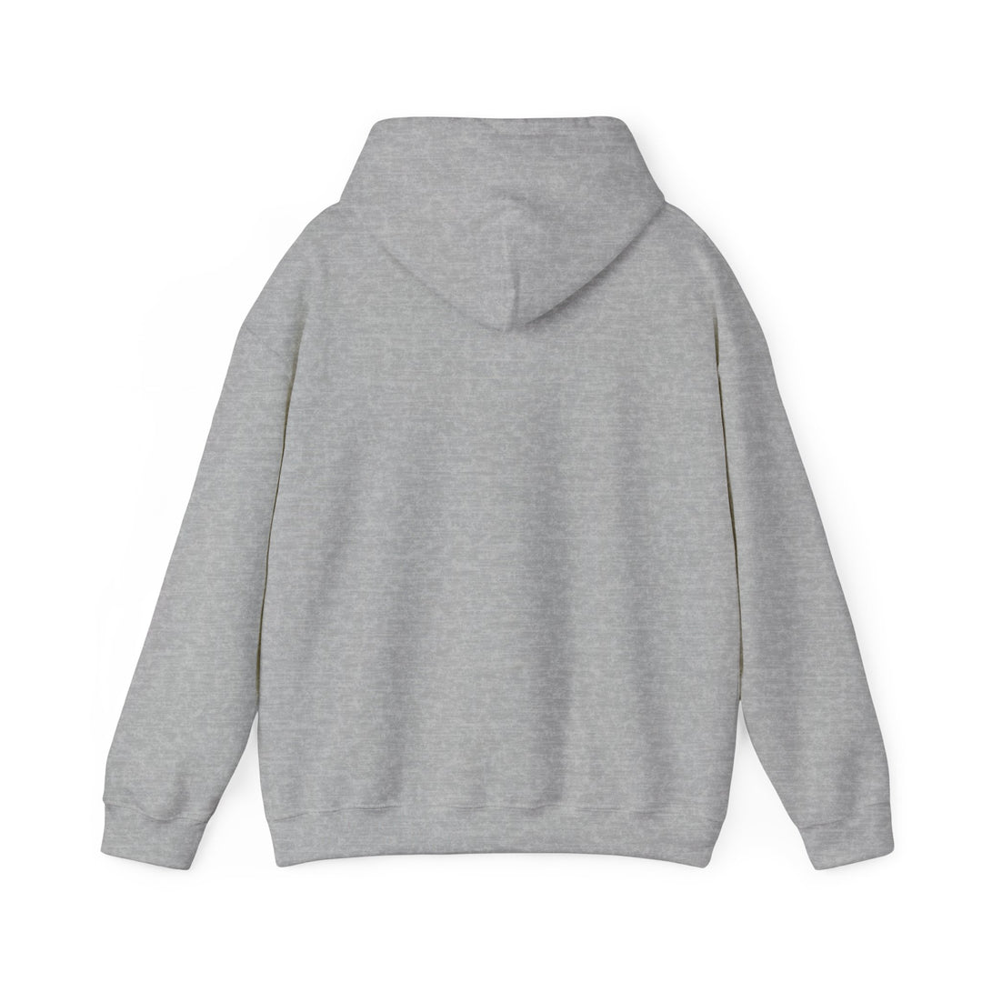 Stealth Graf Logo Hoodie - Grey - Stealth Bodyboards