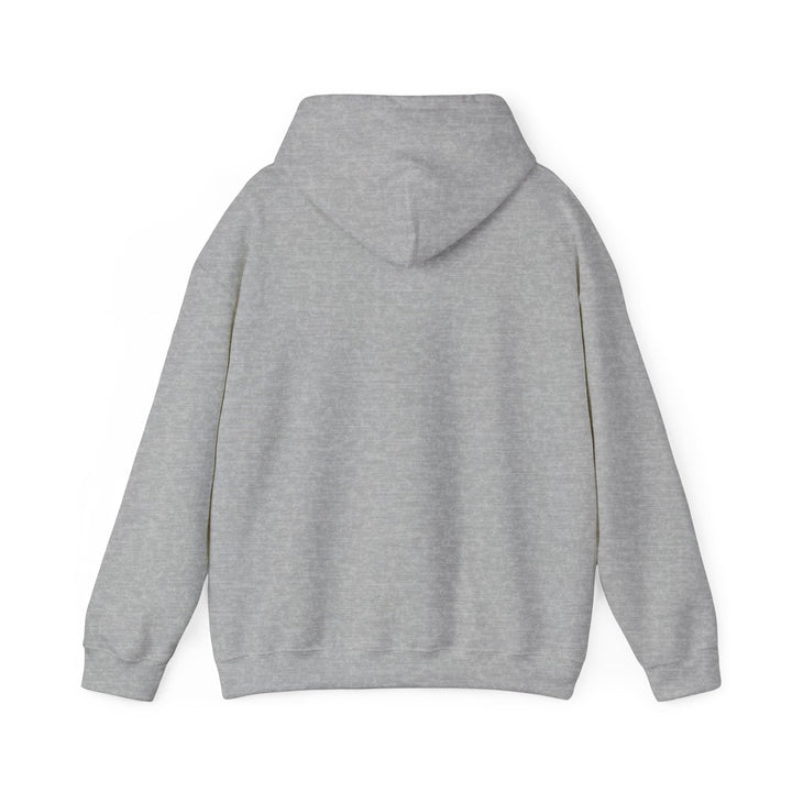 Stealth Graf Logo Hoodie - Grey - Stealth Bodyboards