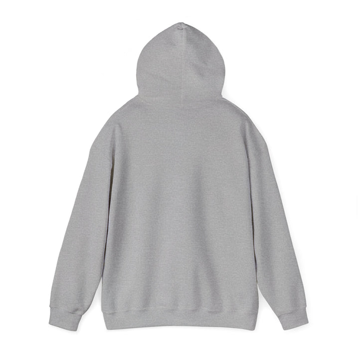 Stealth Graf Logo Hoodie - Grey - Stealth Bodyboards